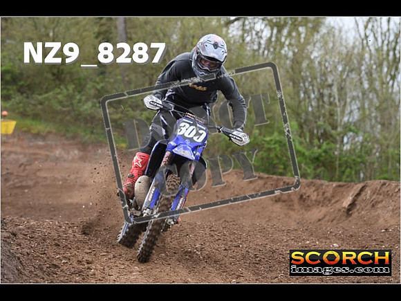 Experts-434