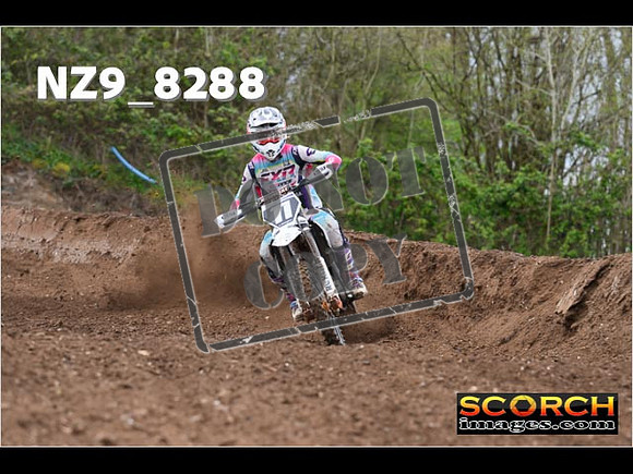 Experts-435
