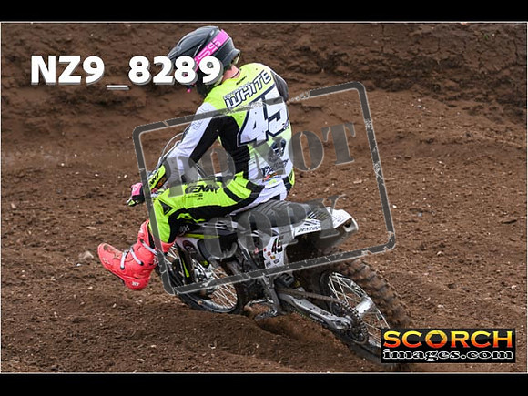 Experts-436