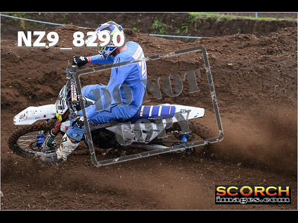 Experts-437