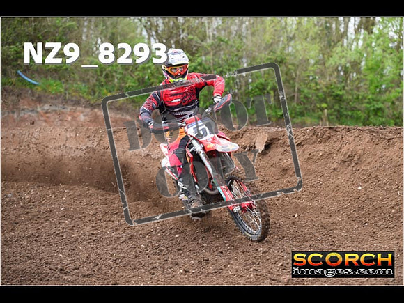 Experts-440