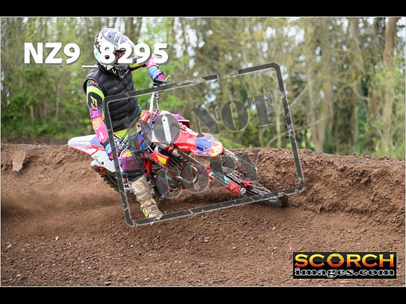Experts-442