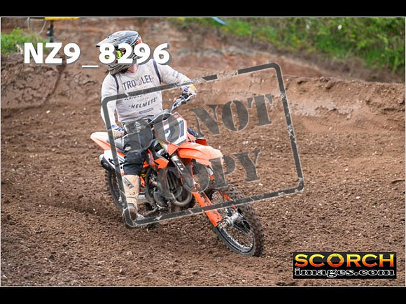 Experts-443