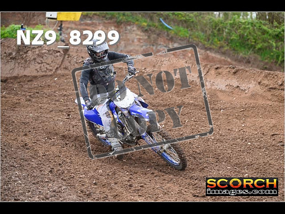 Experts-446