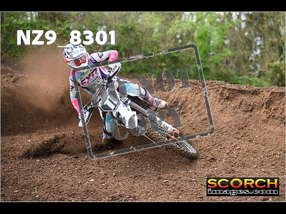Experts-448