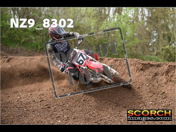Experts-449