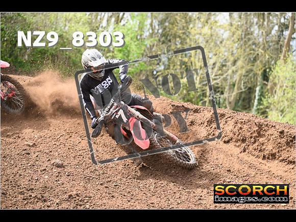 Experts-450