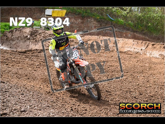 Experts-451