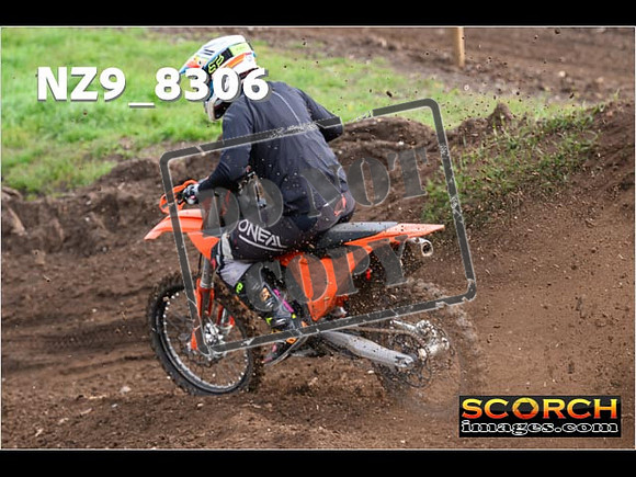 Experts-453