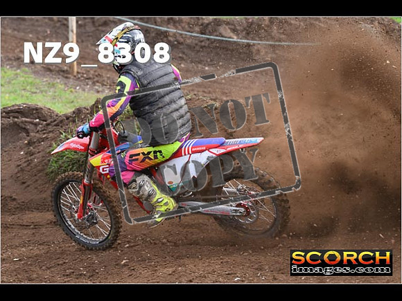 Experts-455