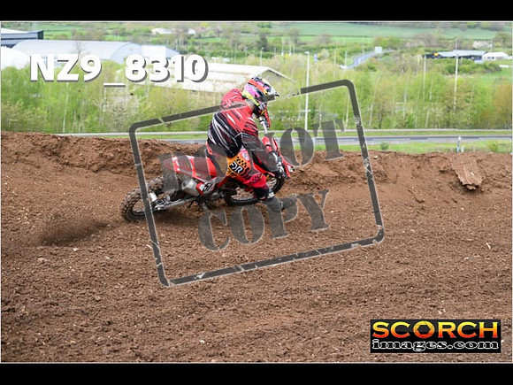 Experts-456