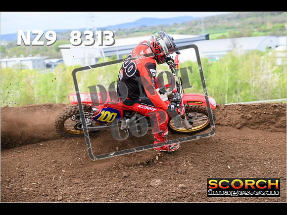 Experts-459