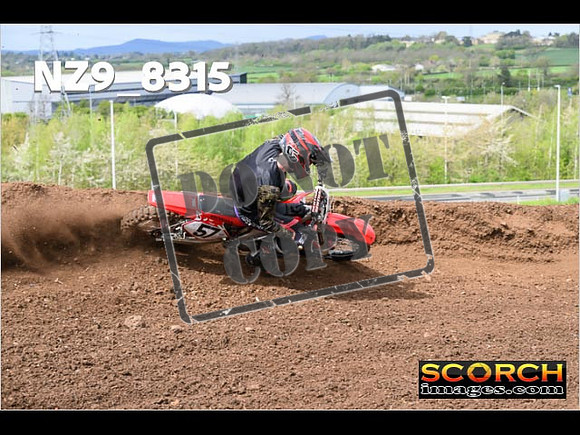 Experts-461