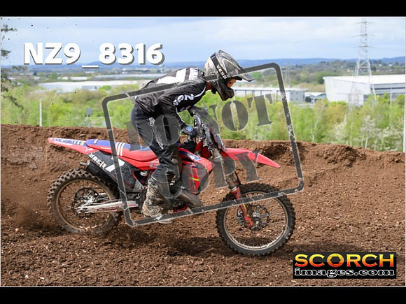 Experts-462