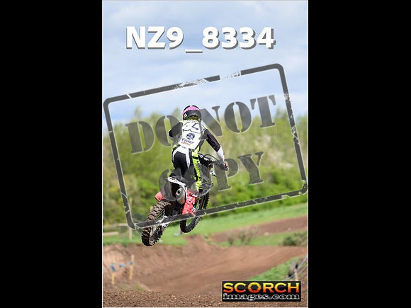 Experts-479