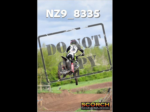Experts-480