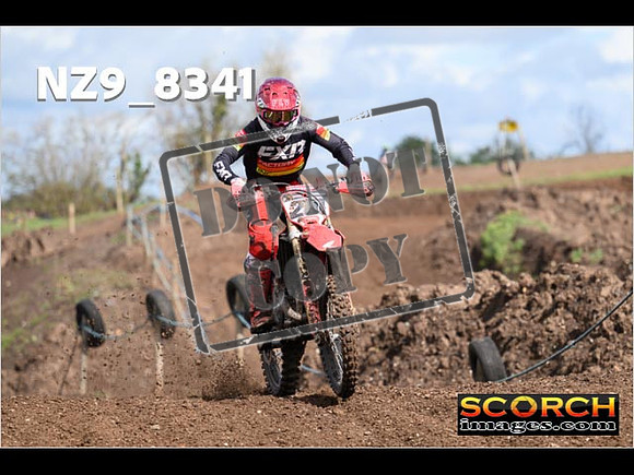 Inters-310