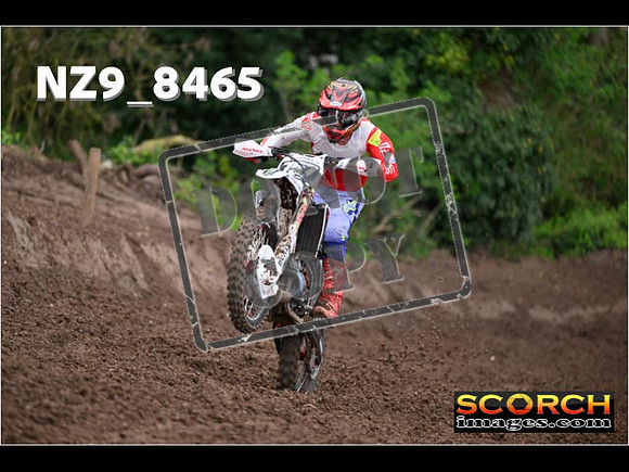 Inters-429