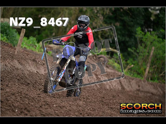 Inters-431