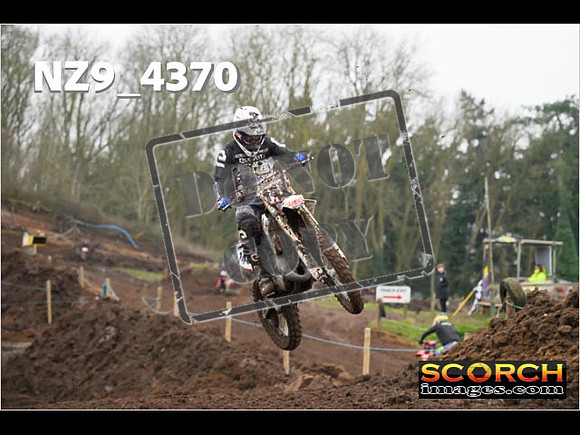 Experts-216