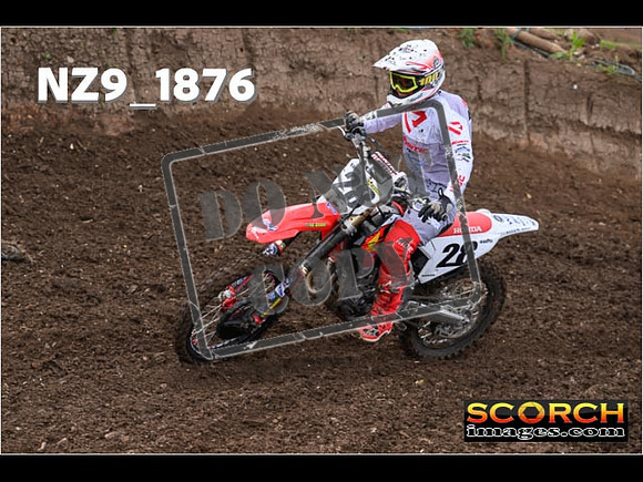 Experts-096