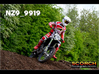 Experts-015