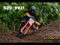 Experts-017