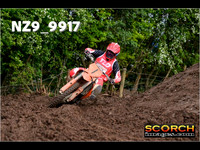 Experts-013