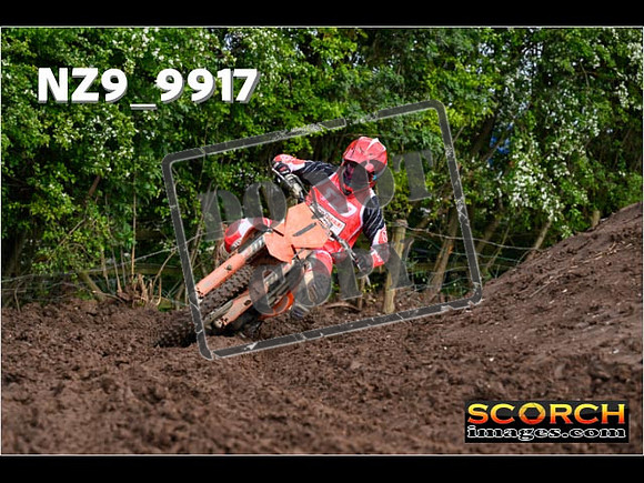 Experts-013