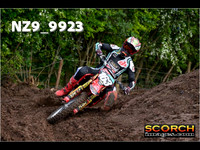 Experts-019