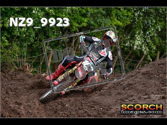 Experts-019