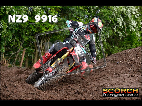 Experts-012