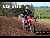 Experts-019