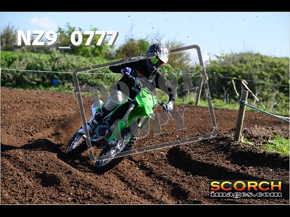 Experts-043
