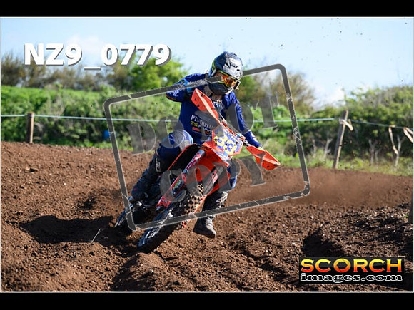 Experts-045