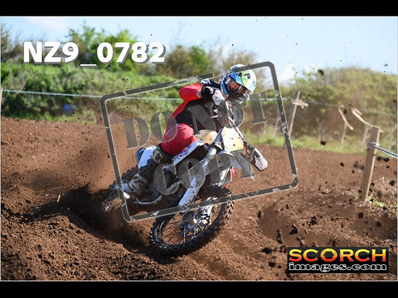 Experts-048