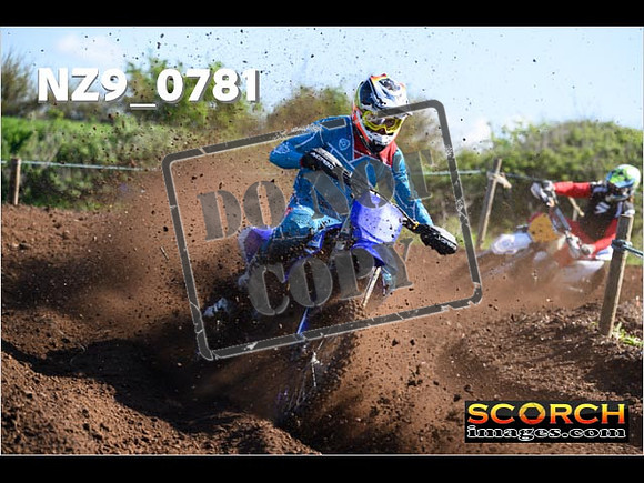 Experts-047