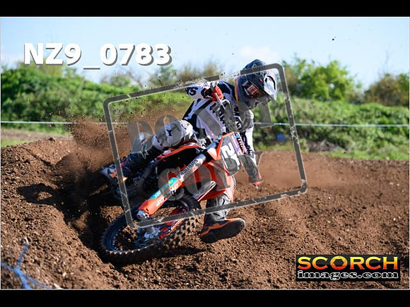 Experts-049