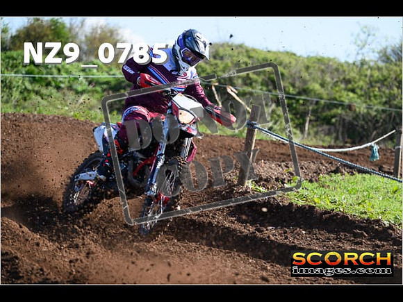 Experts-051