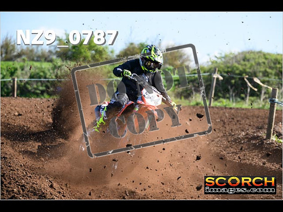 Experts-053