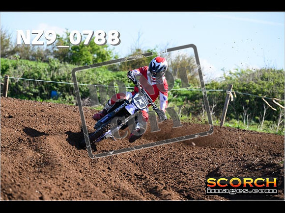 Experts-054
