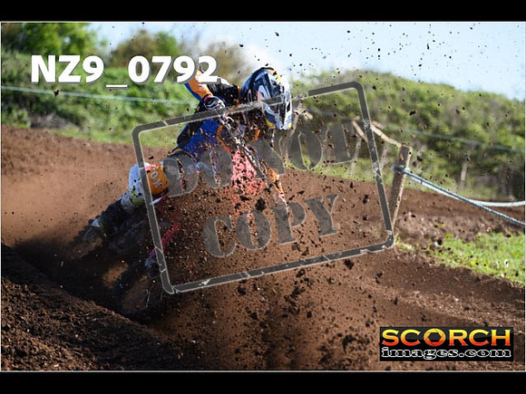 Experts-058