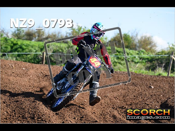 Experts-059