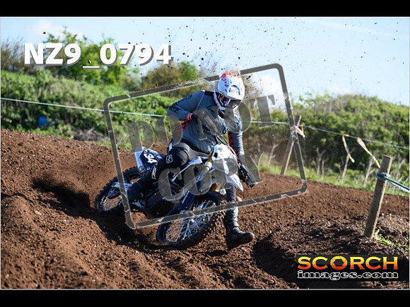 Experts-060