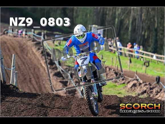 Experts-068