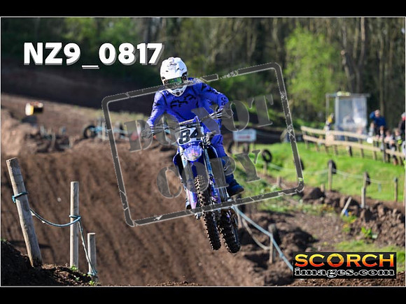 Experts-082