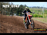 Experts-012