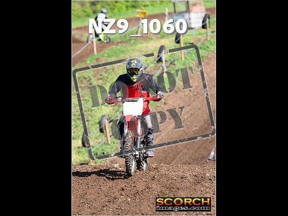 IntersGreen-043