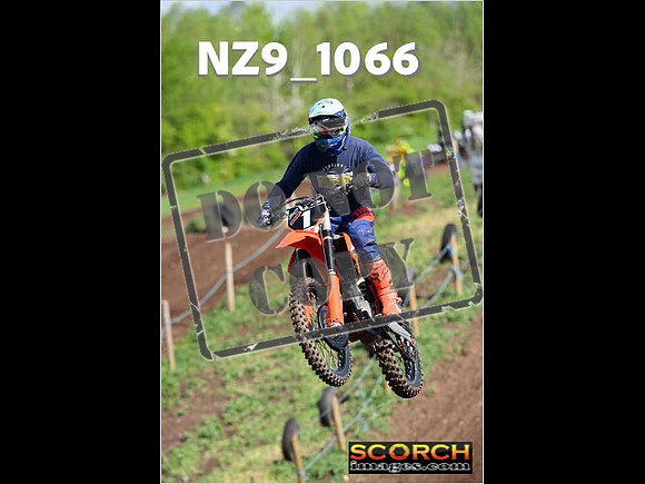 IntersGreen-049
