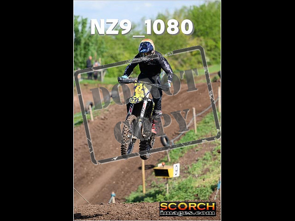 IntersGreen-063